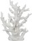 Decorative Sea Coral 9.5x7.5x3.5" Coral Reef Decor Small White Coral Decor for Beach House White Coral Reef Decor Decorative Coral Pieces Sea Coral Décor